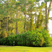 b368b02c547b00d5d8d93a7b8fab5b9b