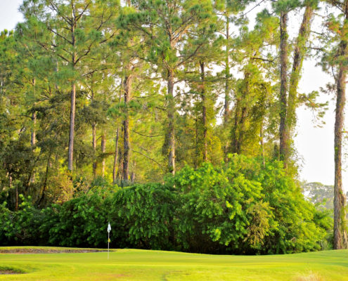 b368b02c547b00d5d8d93a7b8fab5b9b