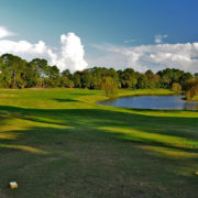 11214235_834400719971689_8129774917298845568_n