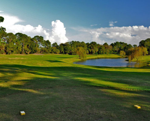 11214235_834400719971689_8129774917298845568_n