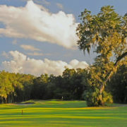 11665650_834400493305045_7626751109188864135_n