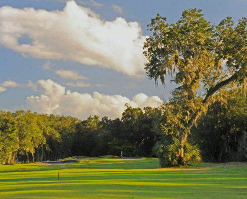 11665650_834400493305045_7626751109188864135_n