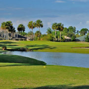 11698657_834400636638364_860896849138960374_n