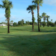 19466412_1346092852135804_7437499021924353_o