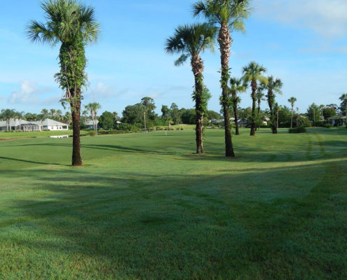 19466412_1346092852135804_7437499021924353_o