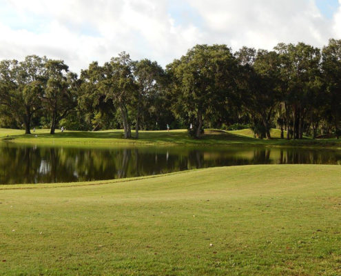 19575164_1346092712135818_5441801264818057580_o