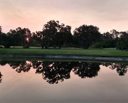 IMG_20170503_065554639_HDR