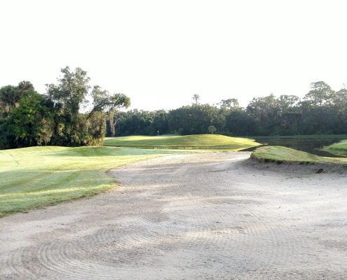 IMG_20170623_073251789