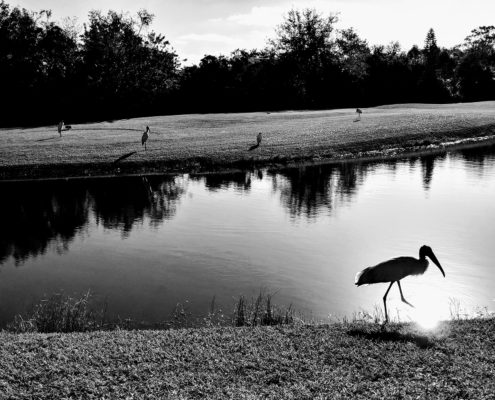 IMG_20171020_090545-EFFECTS